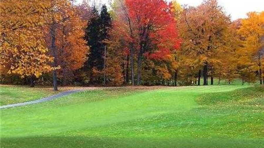 Downing GC: #6
