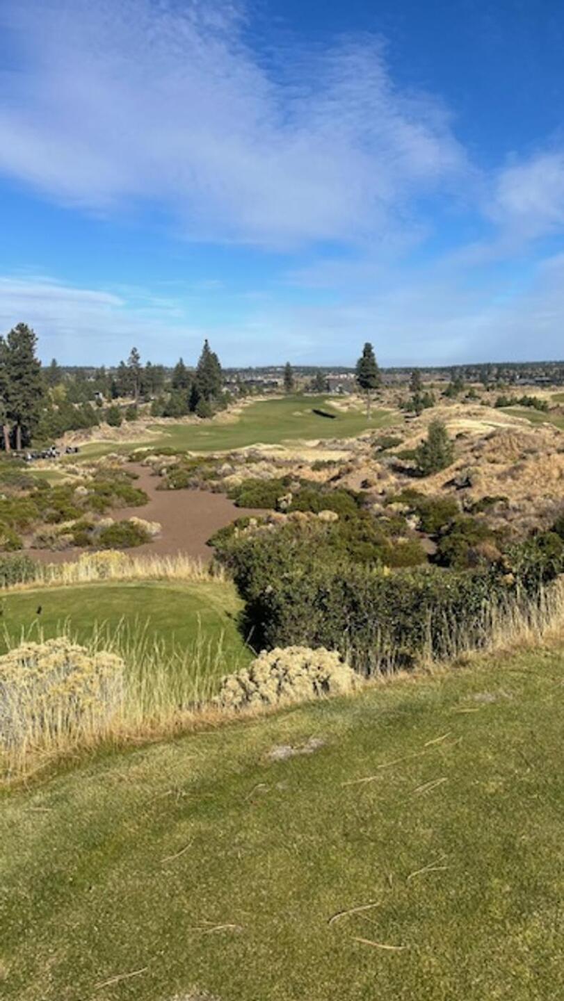 Opening Tee Shot (Photo submitted by handymn on 10/20/2024)