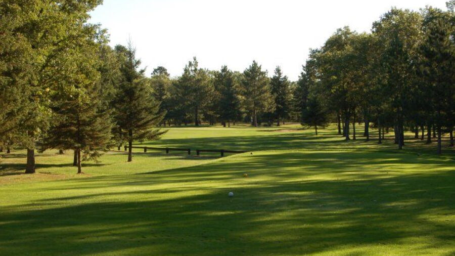 Bemidji Town & CC: #11