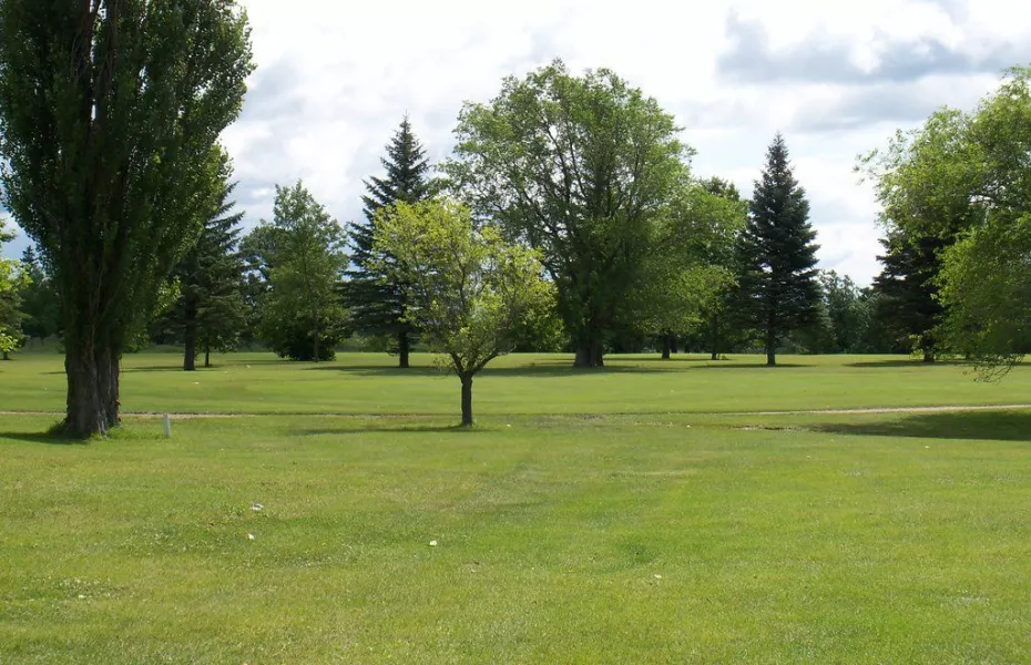 Thief River GC