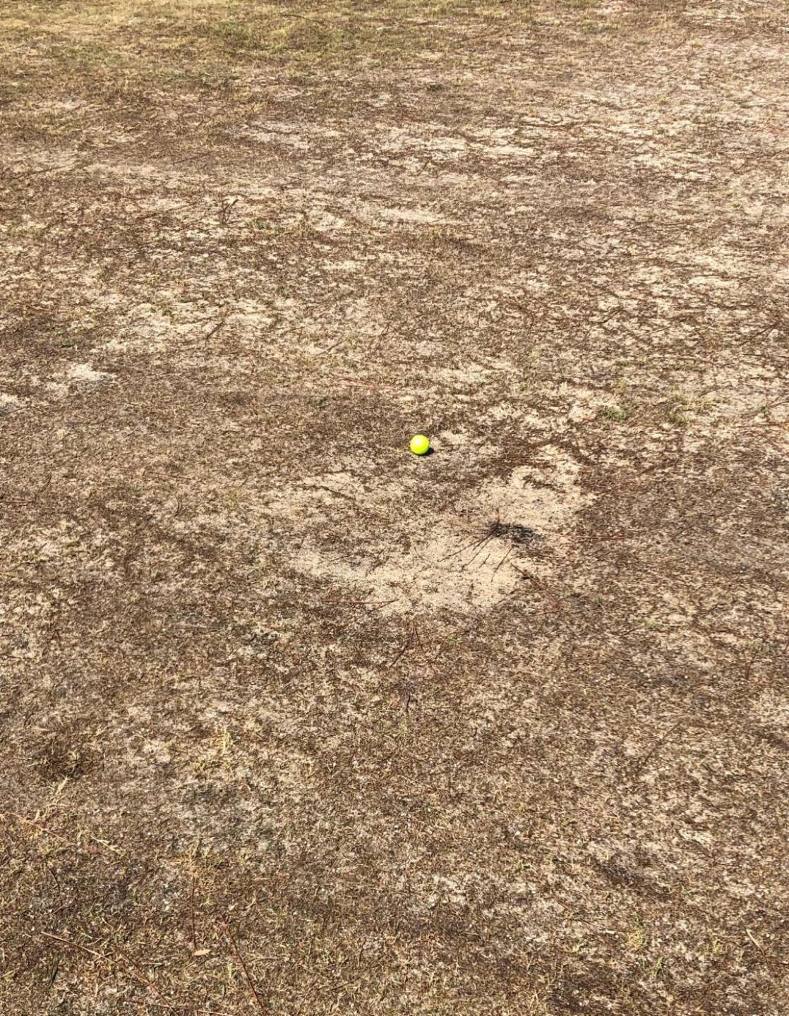 Nice Fairway (Photo submitted by AJLefty18 on 06/26/2019)