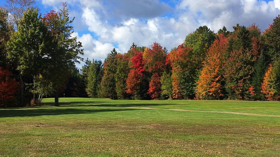 Tanglewood Marsh GC
