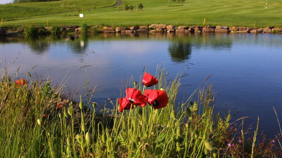 Grove Golf & Bowl - Deer Run: #8