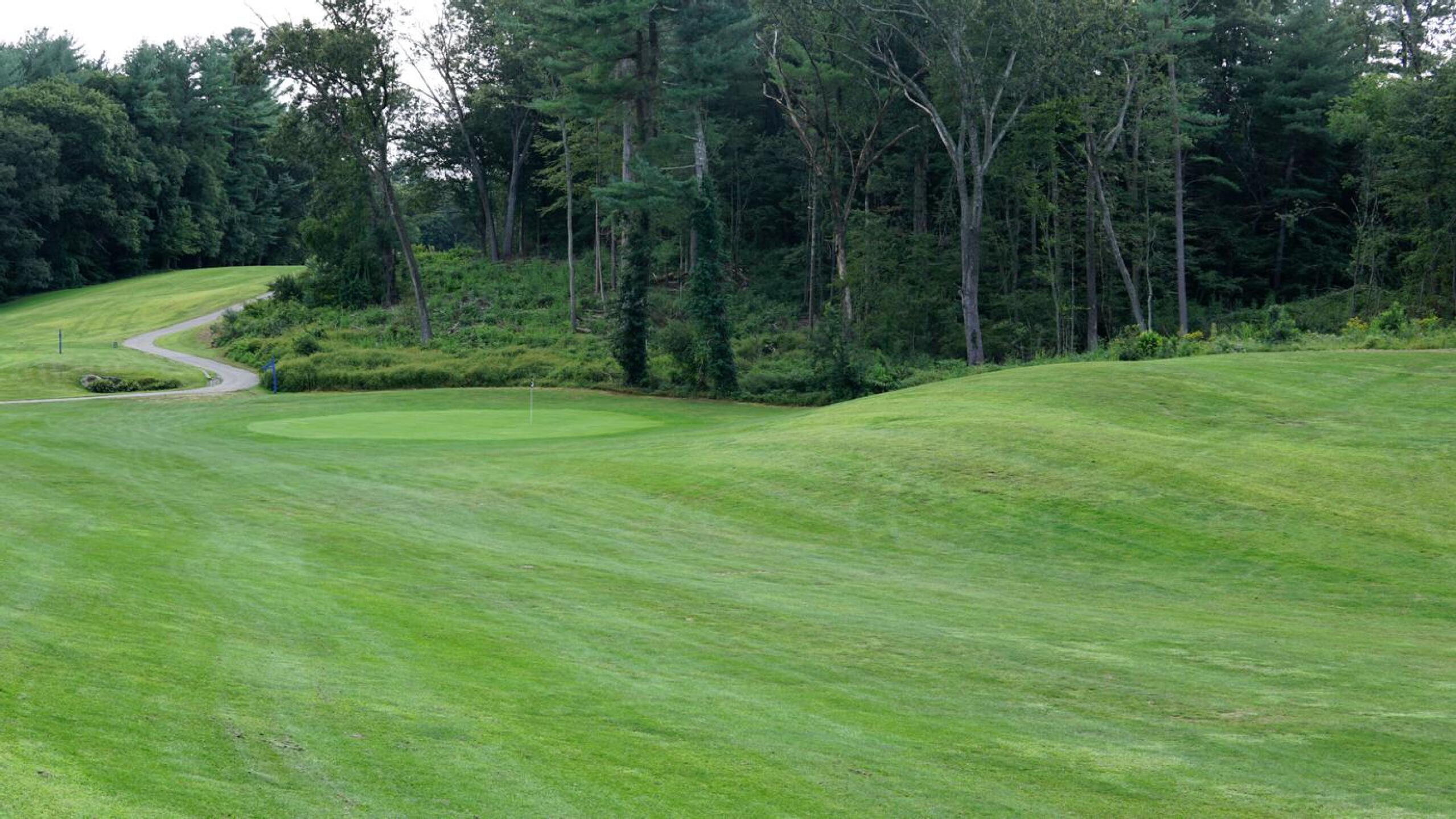 A view of the hump that guards the green at the second. (Photo submitted by AptlyLinked on 09/08/2024)