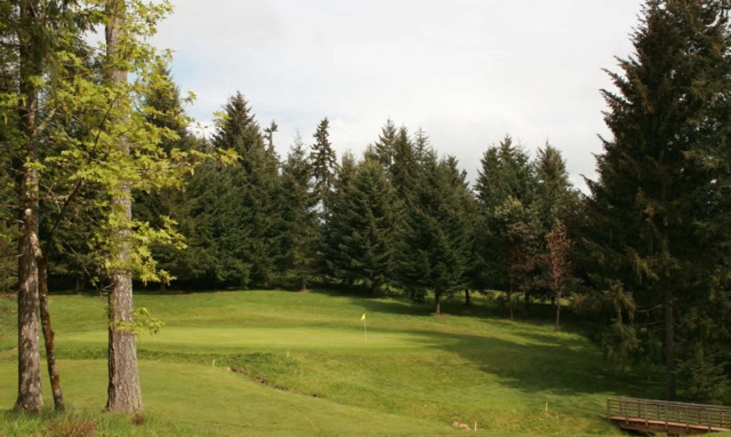 Diamond Woods Golf Course - Back Nine
