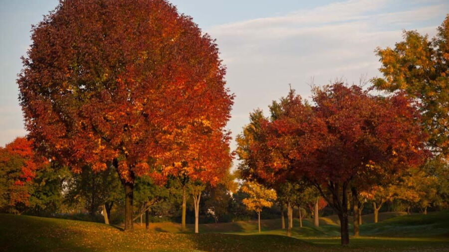 Riverside GC