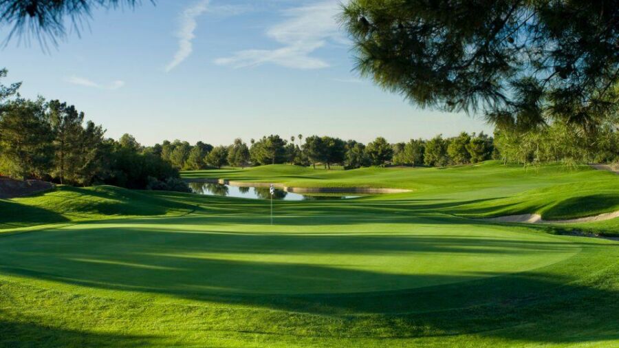 Raven GC - Phoenix: #8