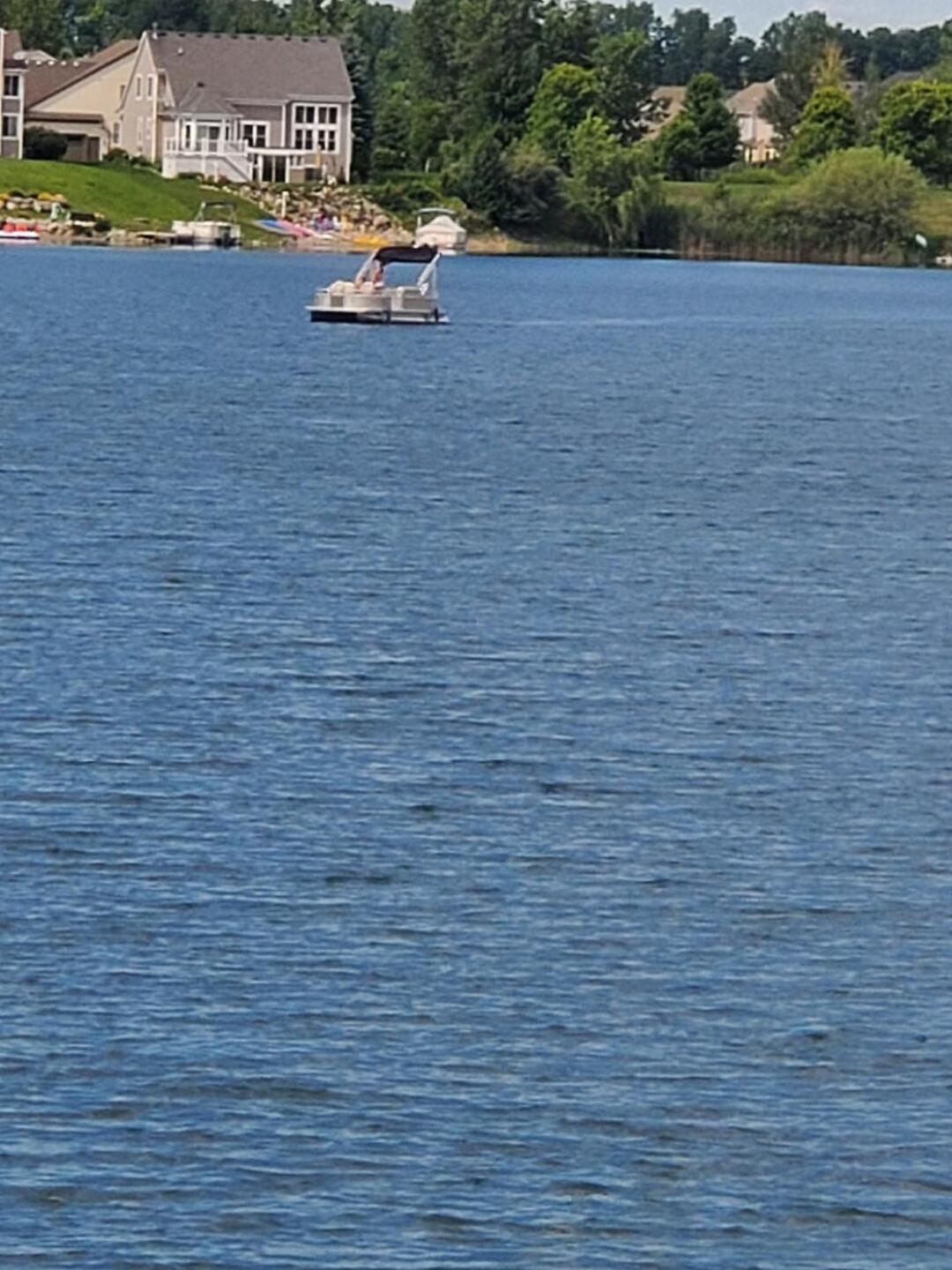 (Photo submitted by howardkhru on 08/02/2020)