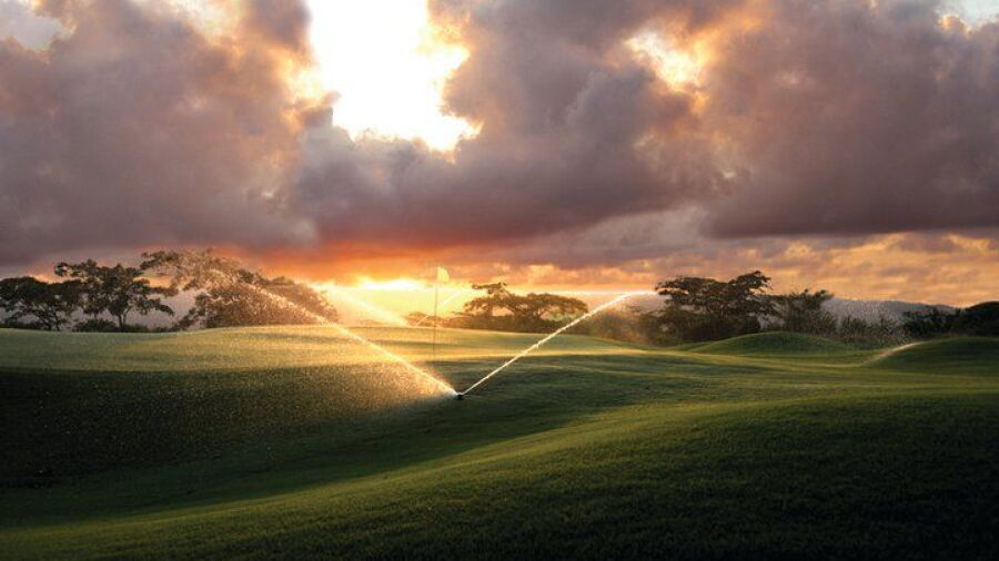 Vipingo Ridge - Baobab
