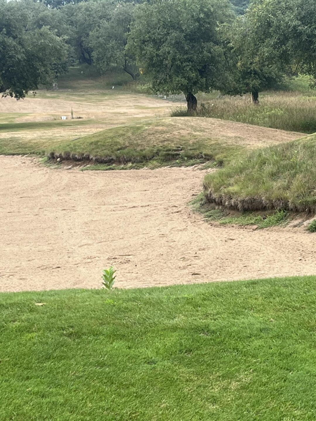 Hole 1 bunker (Photo submitted by u000003302779 on 07/26/2025)
