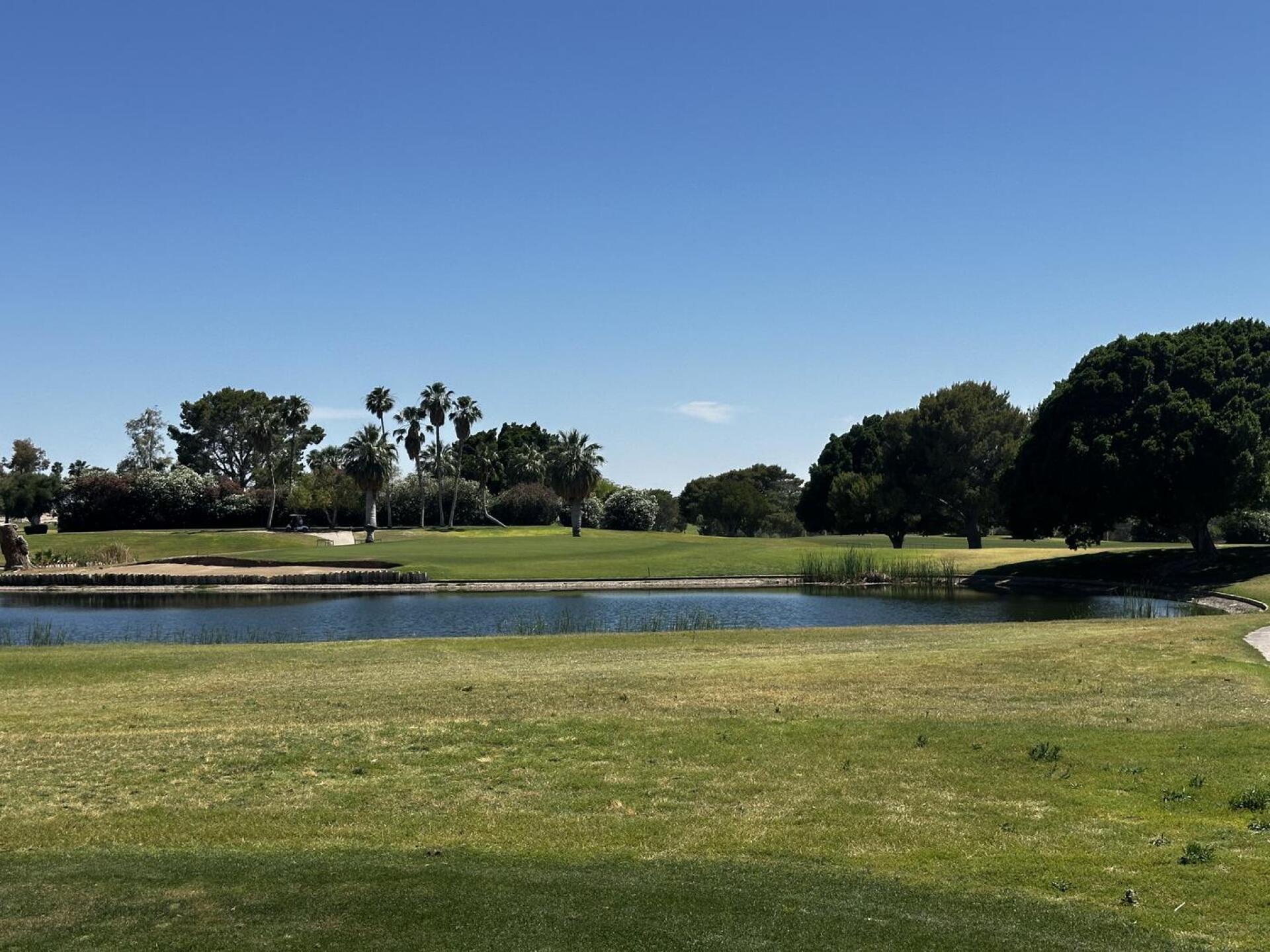 (Photo submitted by Albertson733 on 06/03/2024)