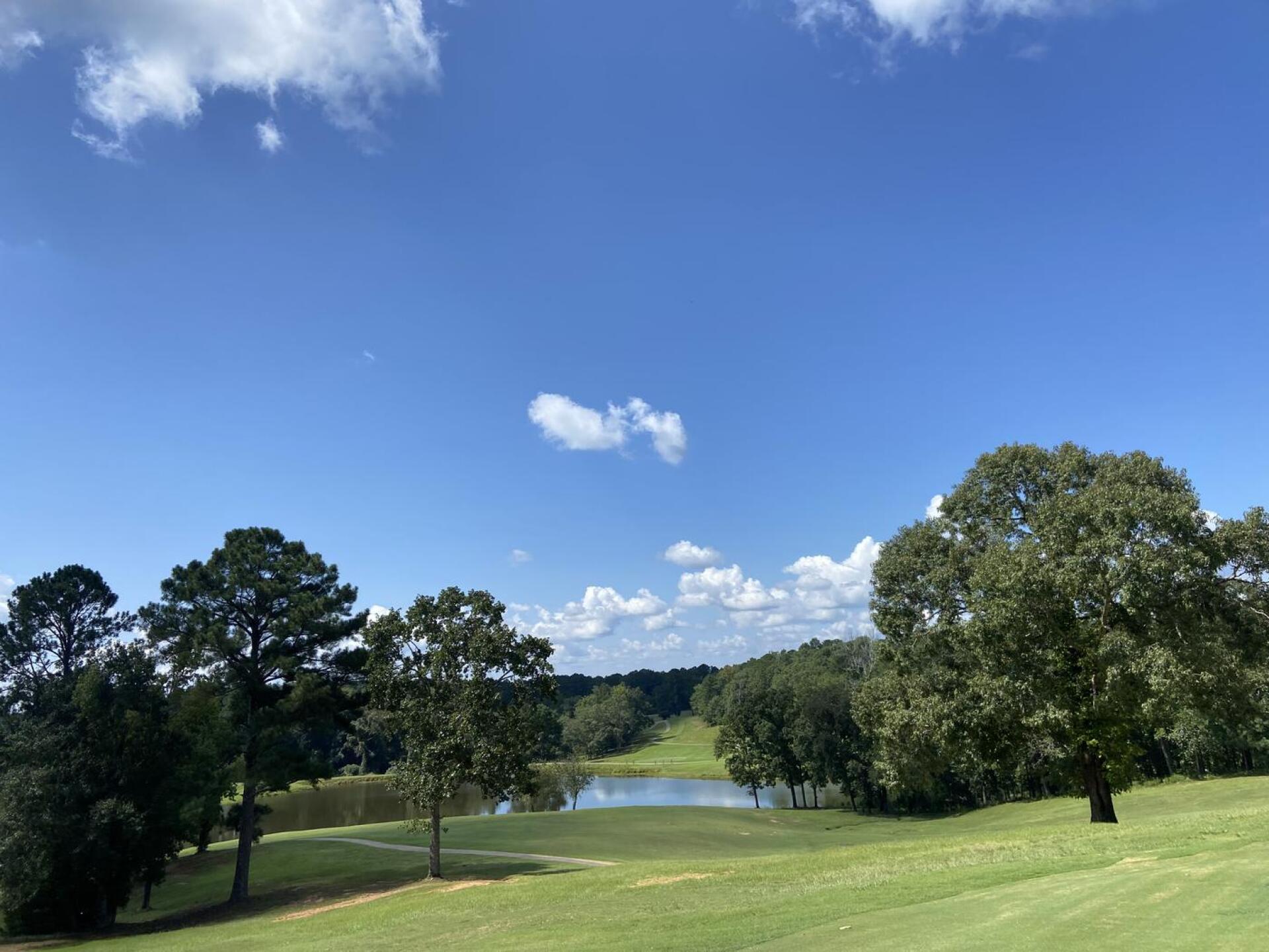 (Photo submitted by u314161949994 on 09/04/2021)