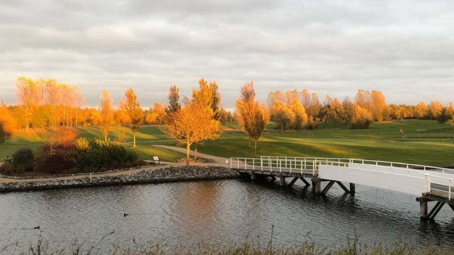 Goese GC