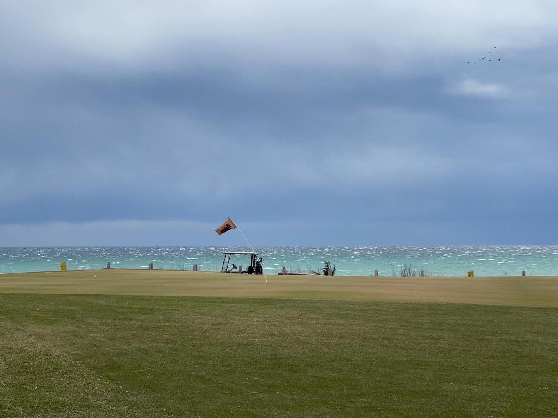 (Photo submitted by Colin468 on 04/22/2022)