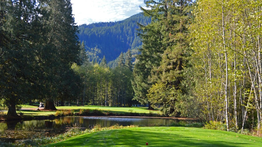 Resort at the Mountain - Thistle - no. 8