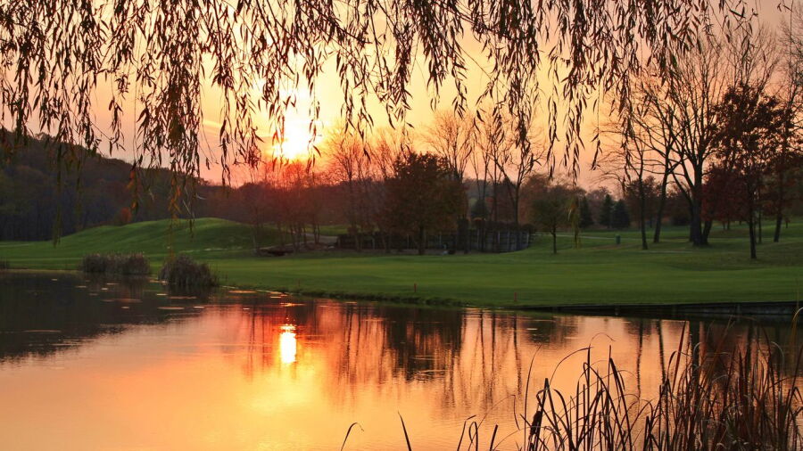 Woodstone CC: #4