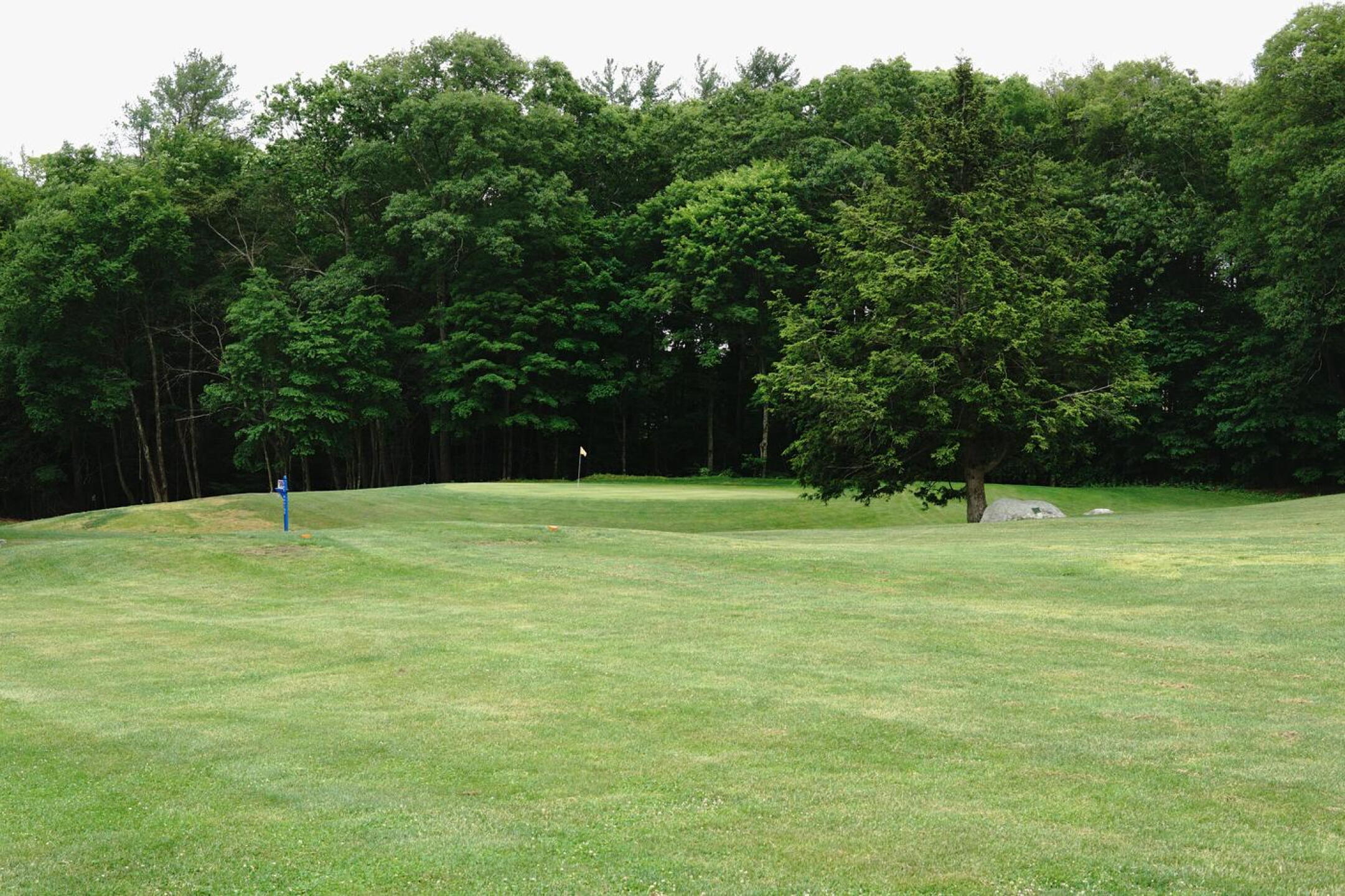 The fairway at six, a short par-4, runs through a depression prior to the putting surface. (Photo submitted by AptlyLinked on 06/08/2023)