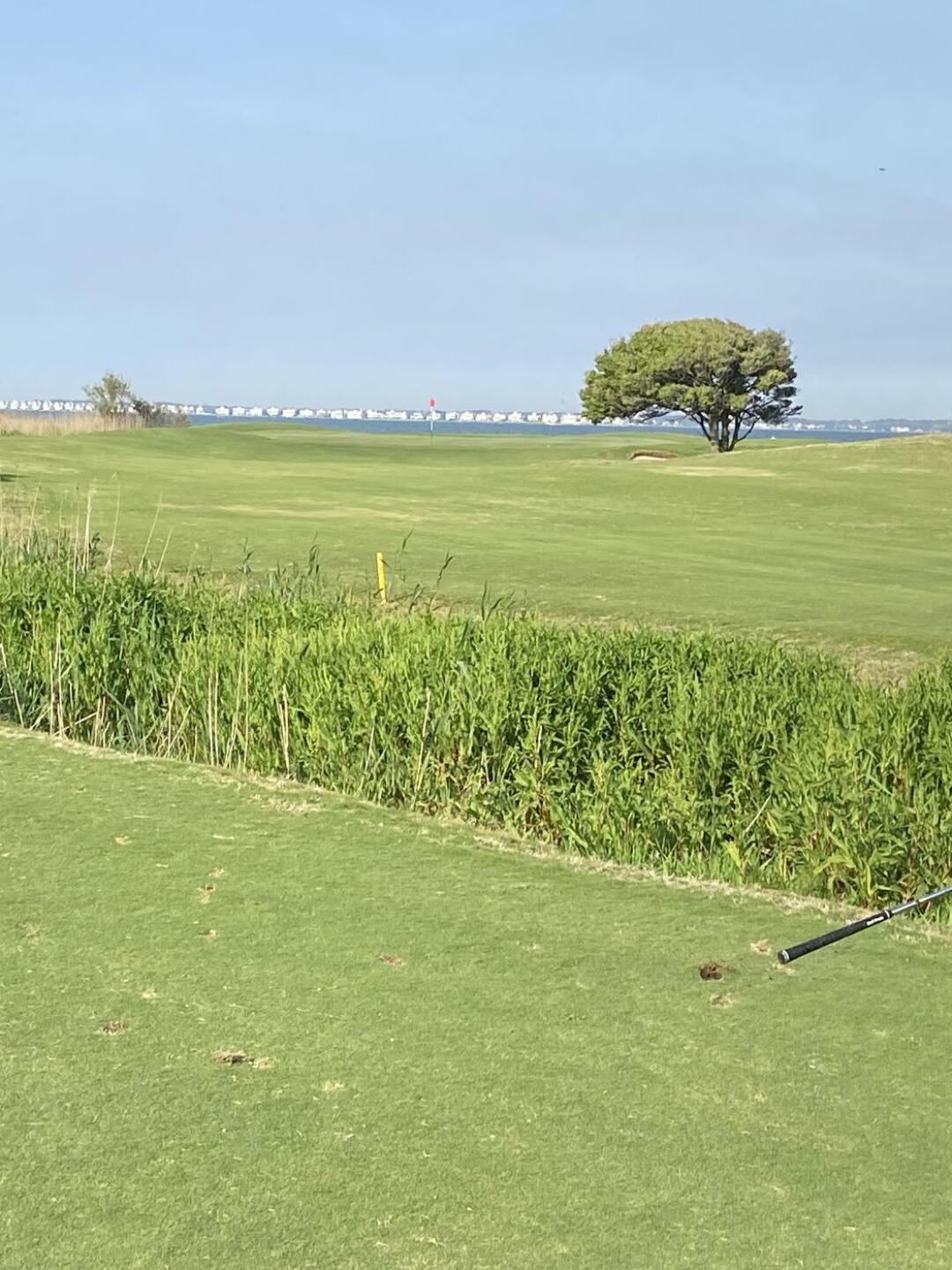 (Photo submitted by peteyb on 04/22/2023)