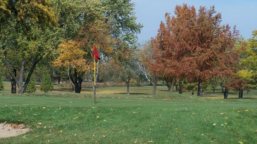 Bloomingdale GC