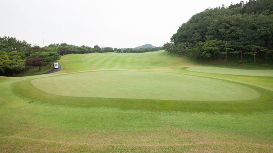Palmy Hills CC - South: #1