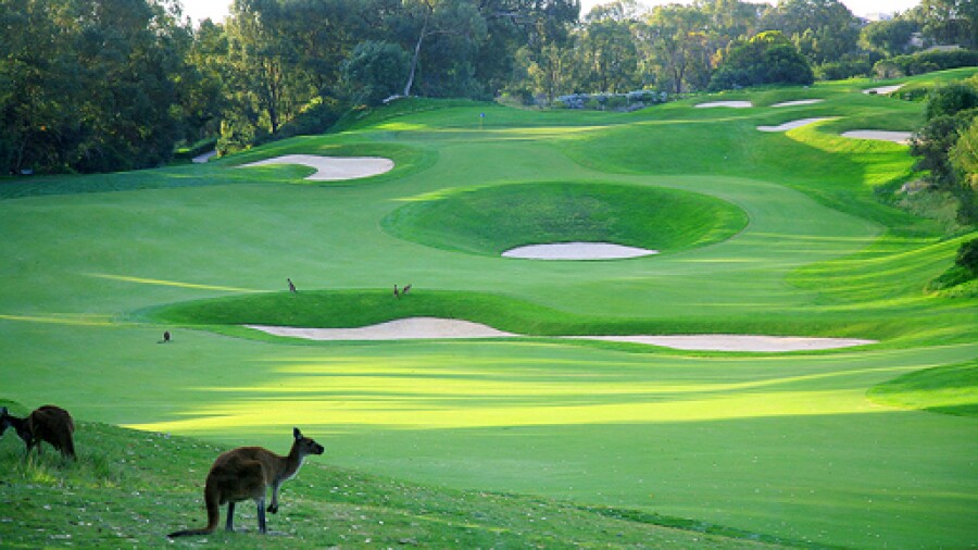 joondalup-golf-resort.jpg