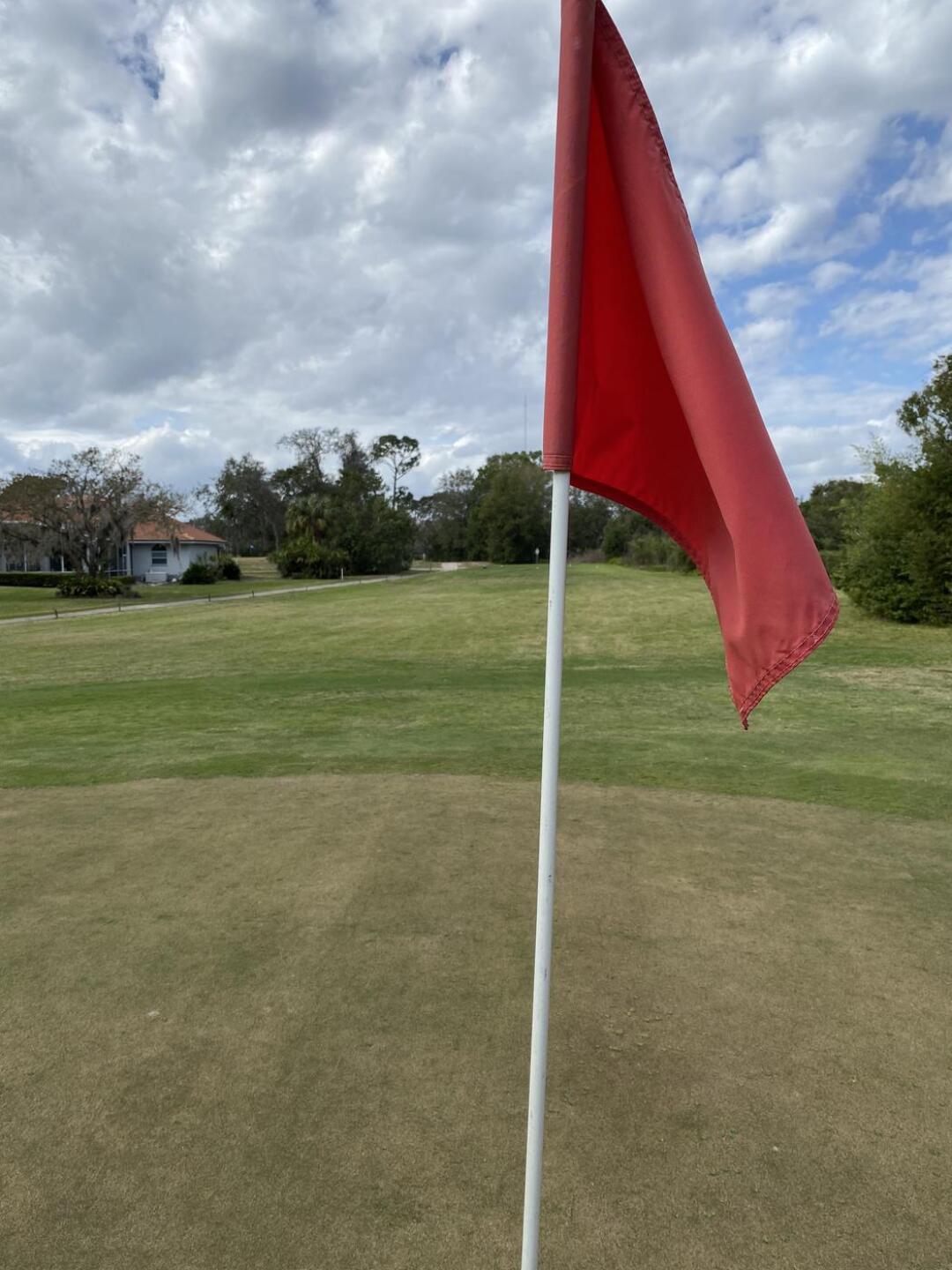 (Photo submitted by KindBeats on 02/09/2023)