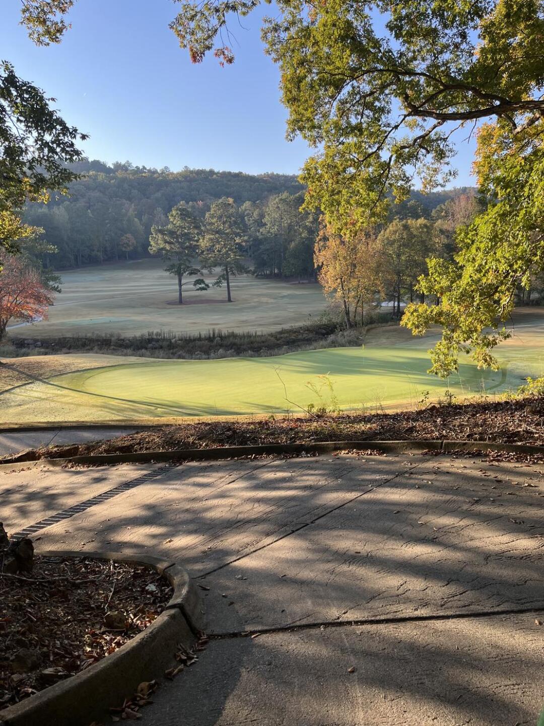 (Photo submitted by AdamB79 on 10/27/2024)