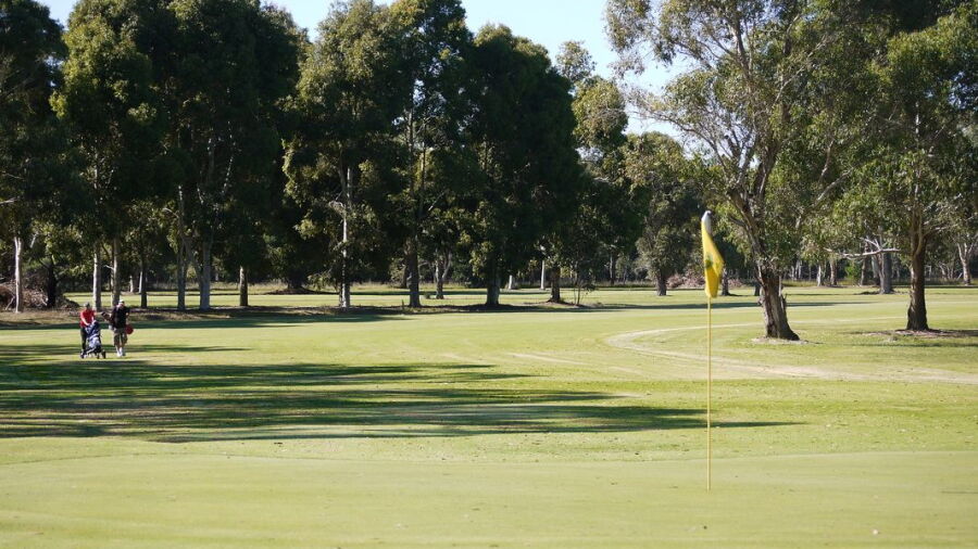 Penola GC