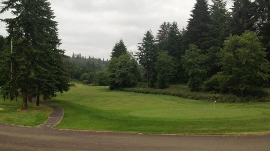 Olalla Valley GC: #9