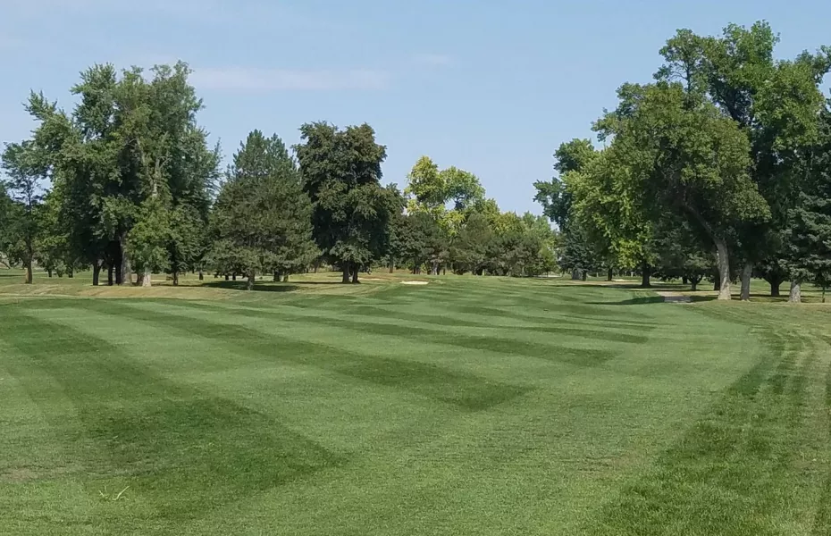 Championship at Elmwood GC