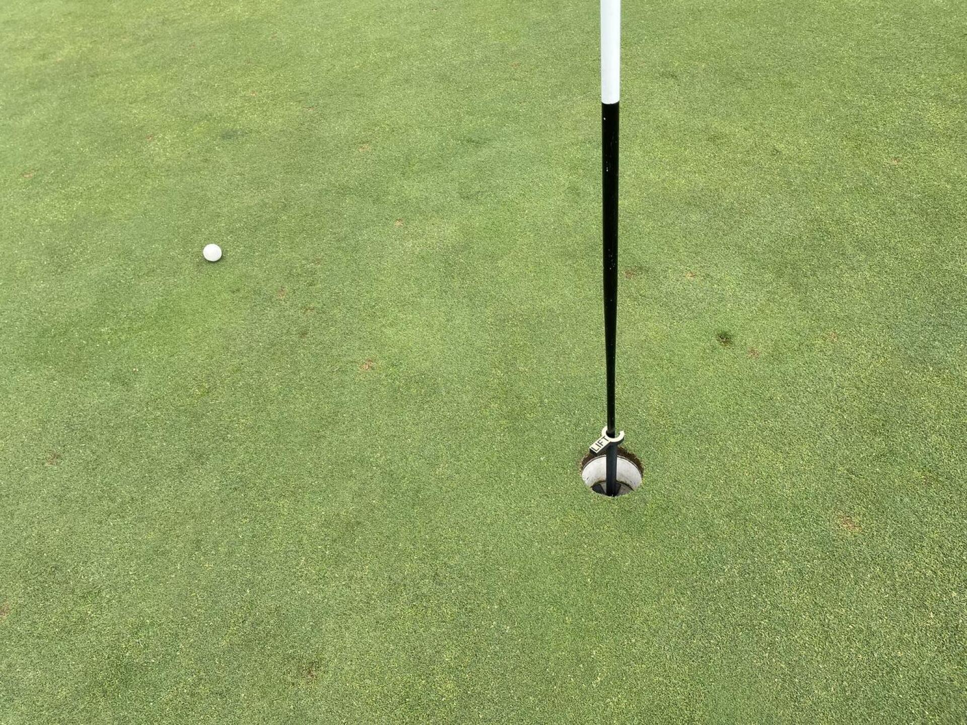 (Photo submitted by u314159525287 on 08/05/2022)