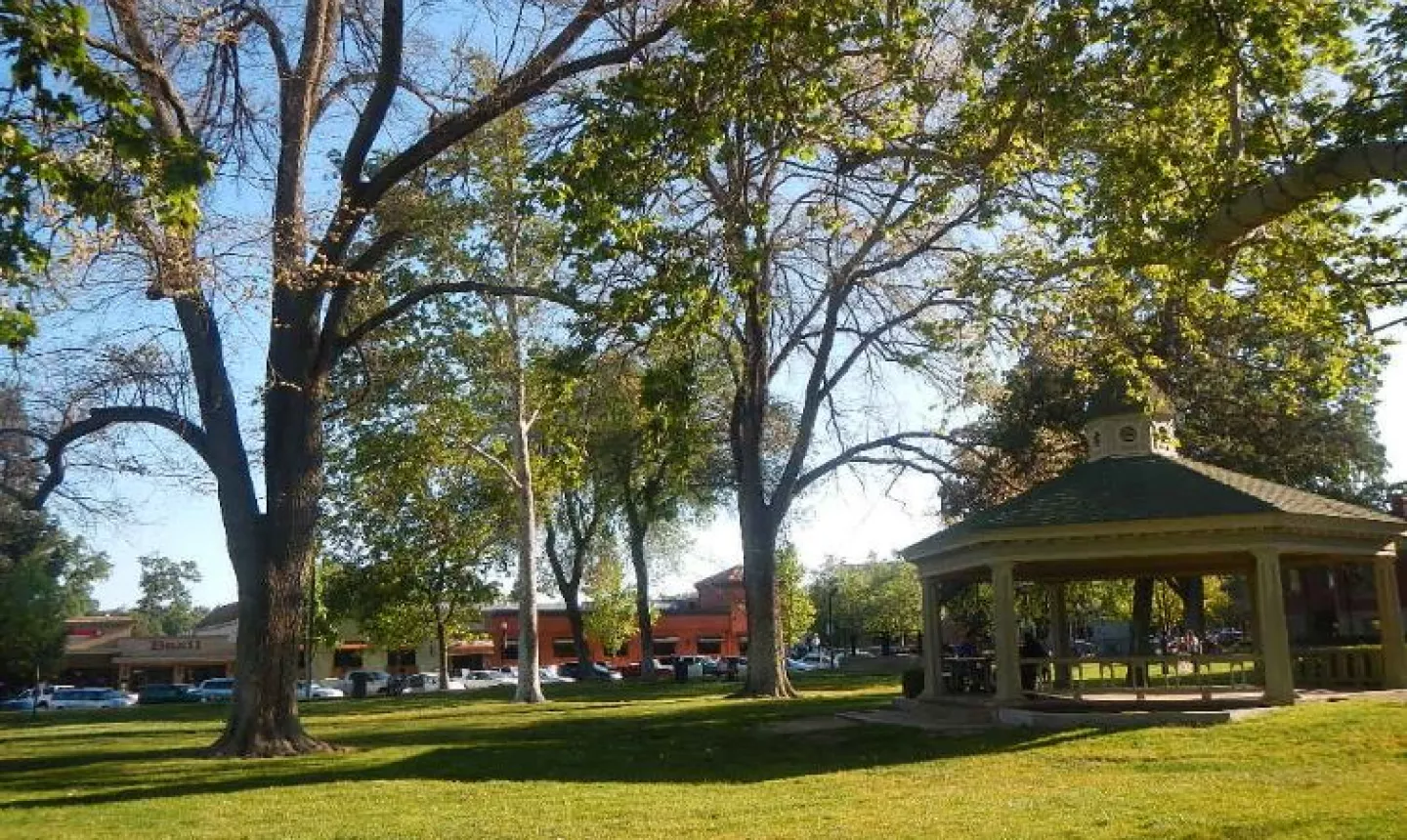Paso Robles square