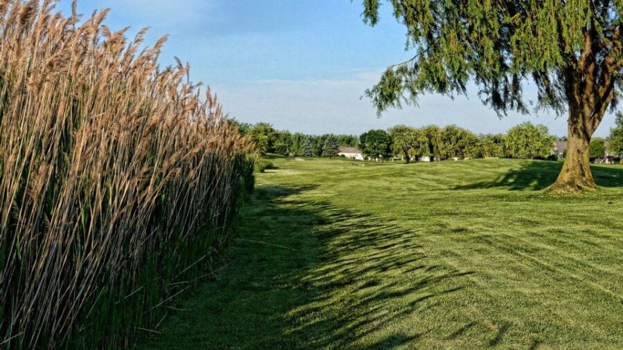 The Links at Carillon