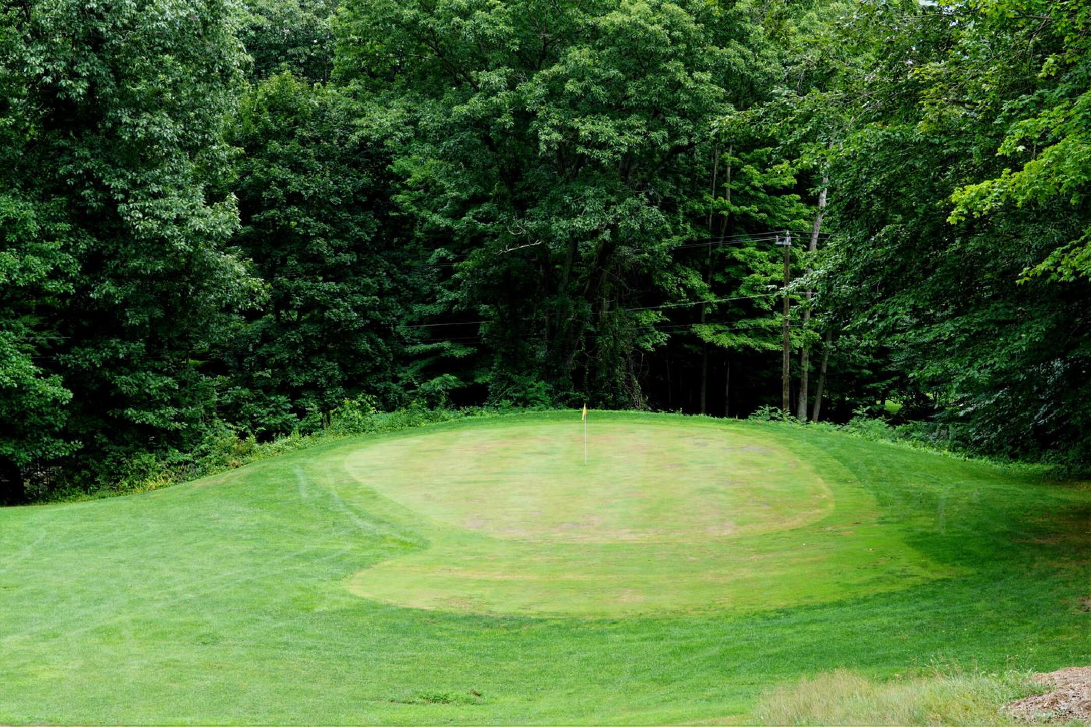 “The Ravine,” hole 7, is semi-blind from the tee–you can only see the flagstick. Here, I’m standing at the ravine’s final plunge to the green. (Photo submitted by AptlyLinked on 08/02/2022)