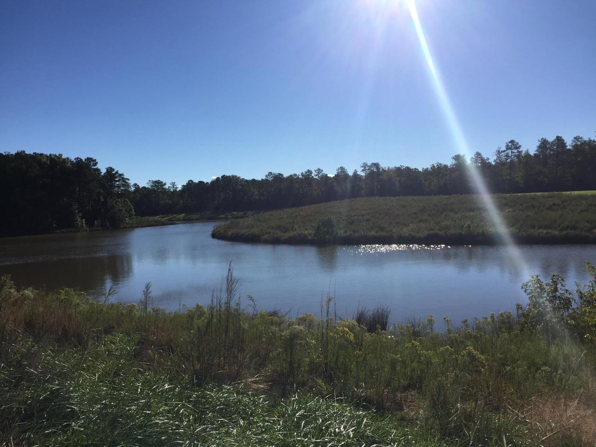 (Photo submitted by Speedblade54 on 10/18/2016)