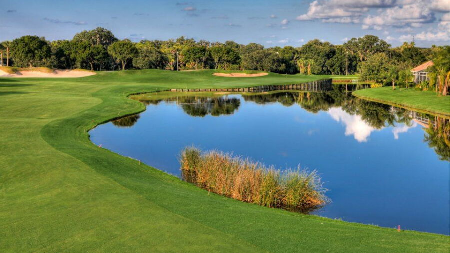 Laurel Oak CC