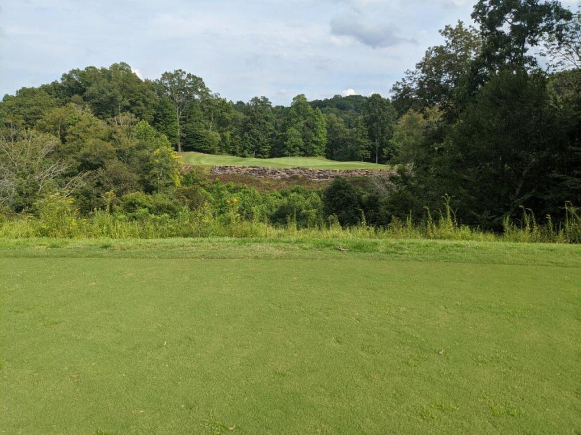 (Photo submitted by fredwfelton on 08/04/2020)