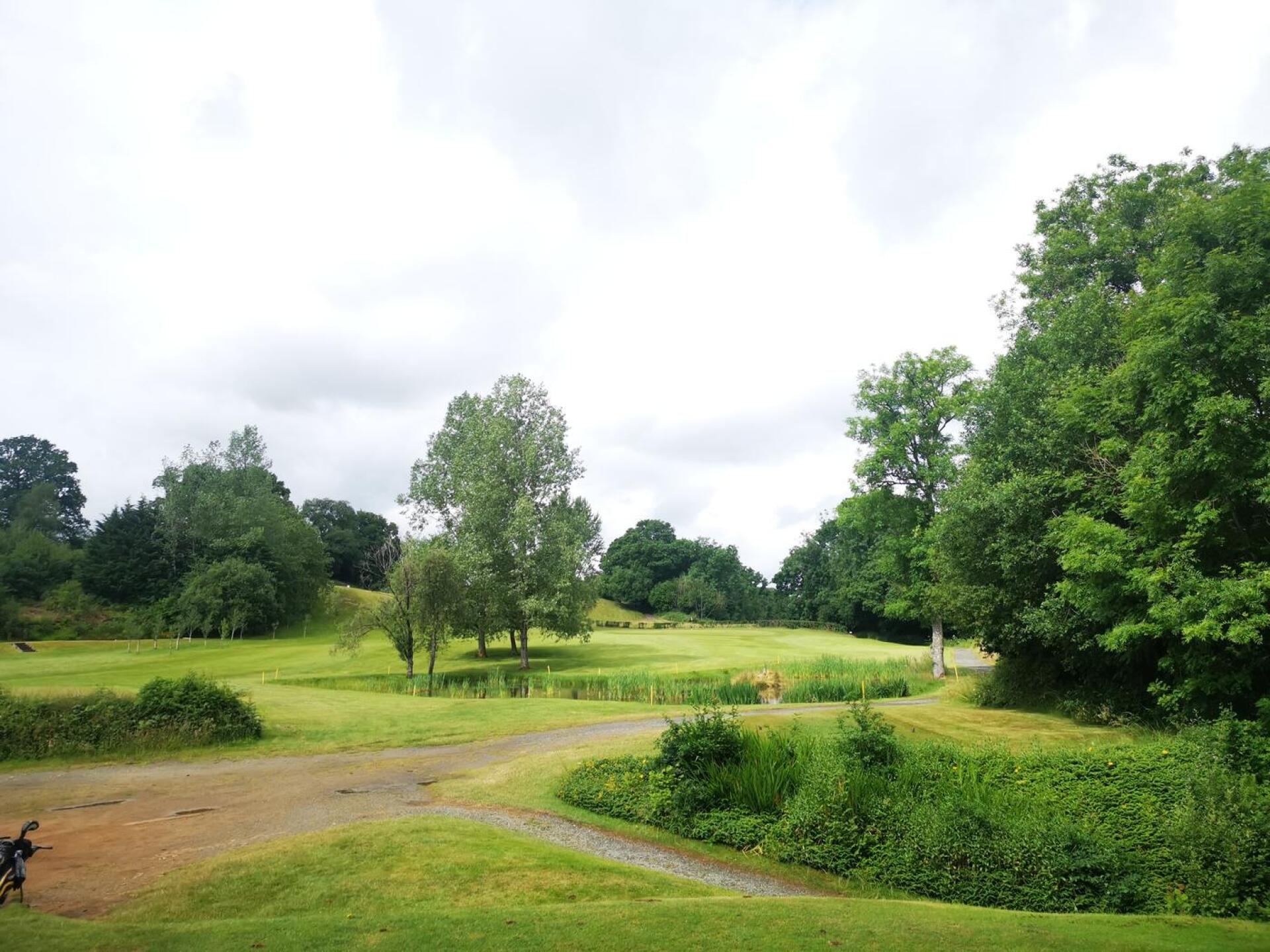 (Photo submitted by childs9 on 07/04/2021)