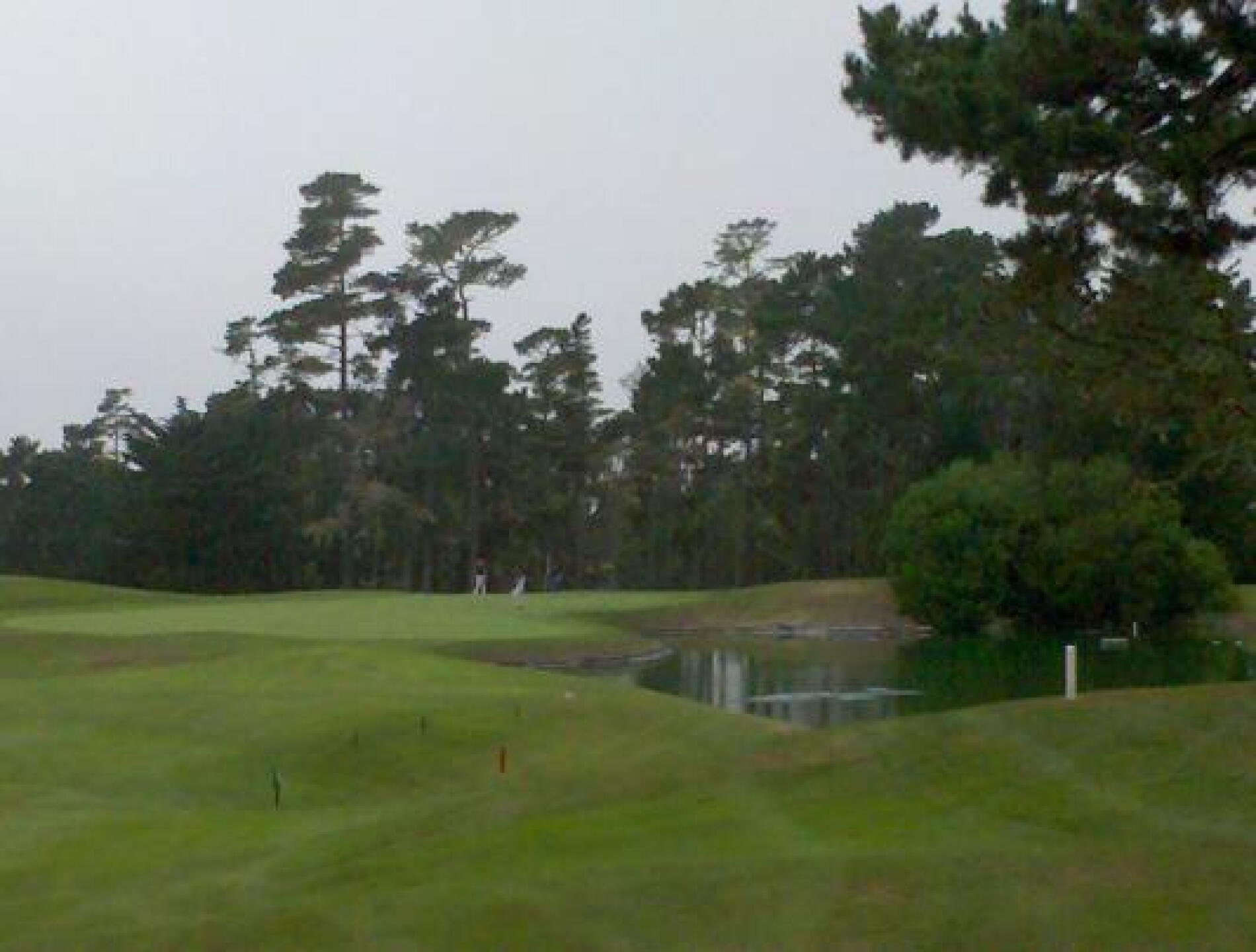 lots of protection around the greens (Photo submitted by Highflyerfund on 10/20/2012)