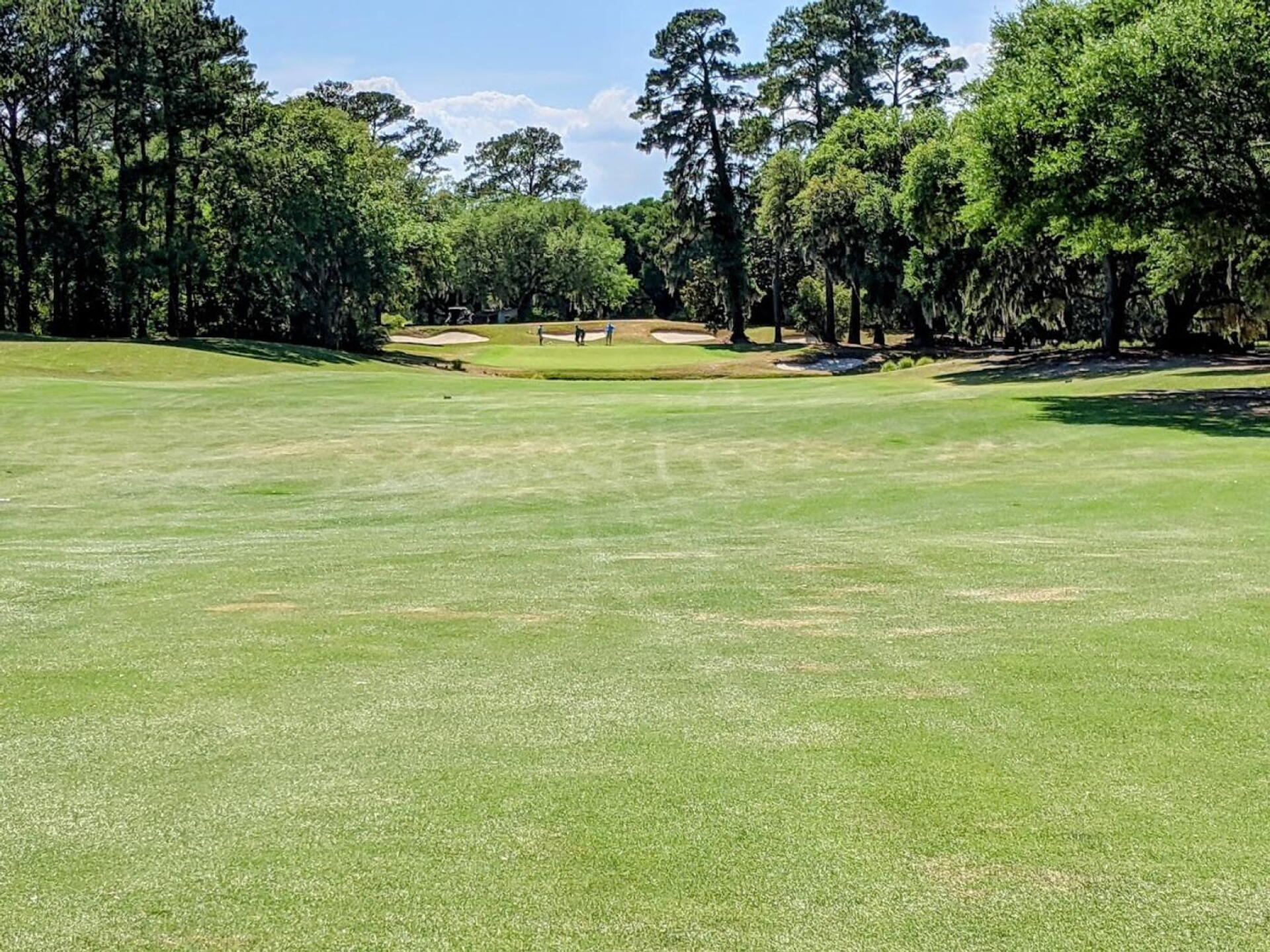 The downhill approach to the par 5 eighth. Big hitters can go for this green. (Photo submitted by GolferJake78 on 05/21/2021)