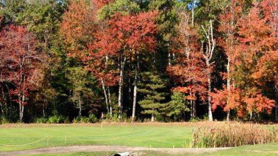Northport GC