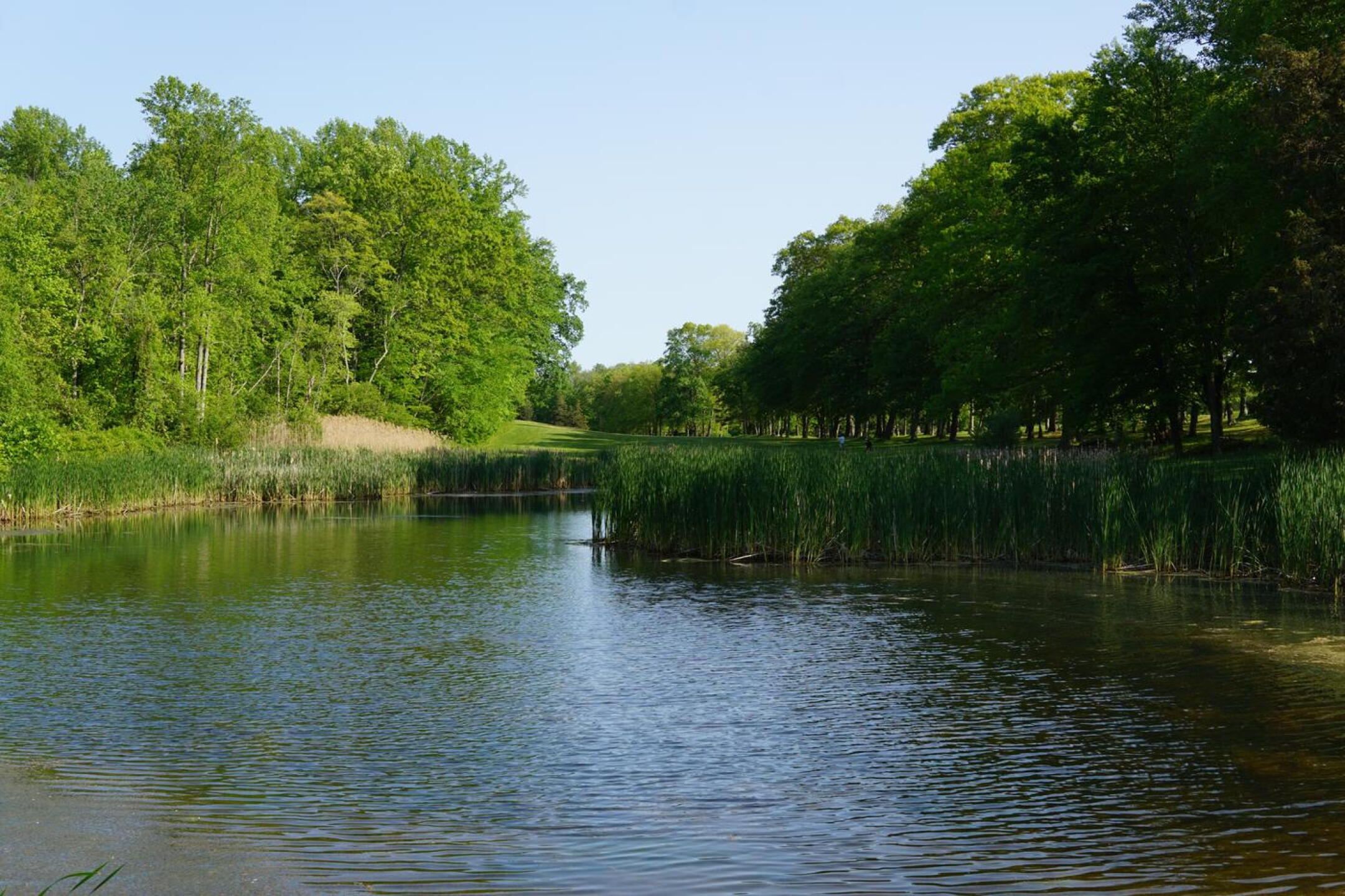 At the other end of hole sixteen lies its undulating green, which slopes front-to-back and left-to-right. (Photo submitted by AptlyLinked on 05/20/2023)