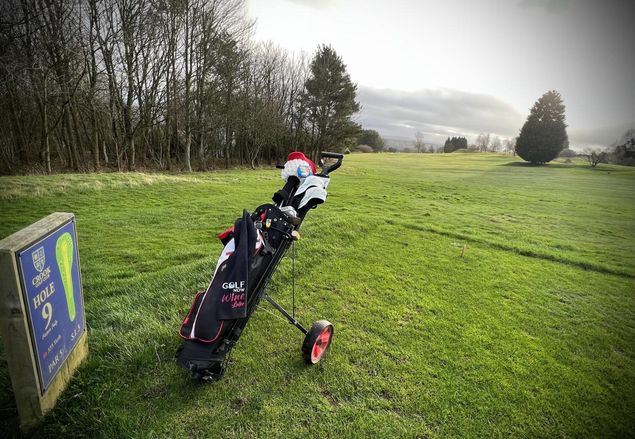 (Photo submitted by angistacker on 12/31/2024)