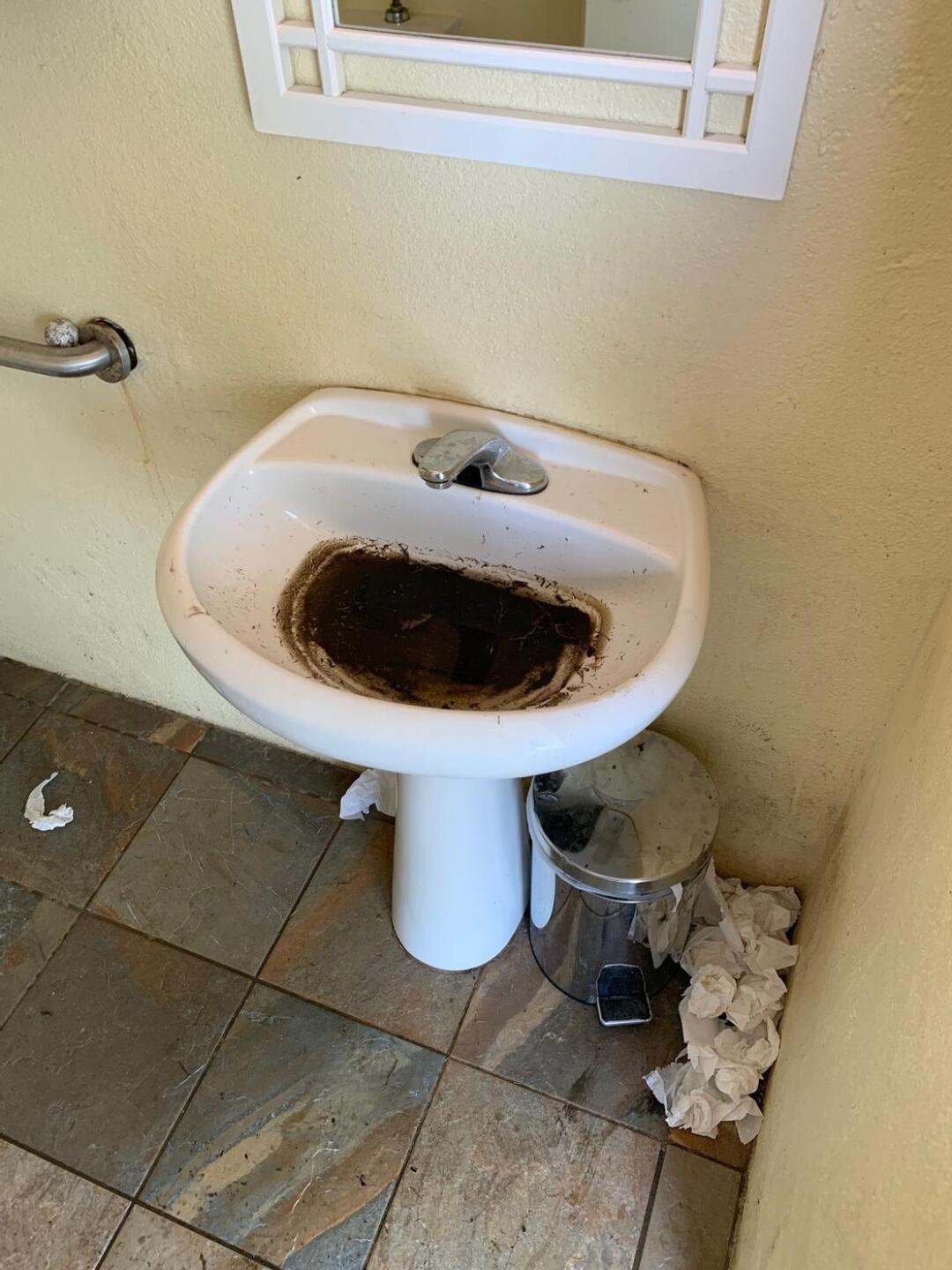 (Photo submitted by oE1fGfZMle6ZUTQNLjcR on 04/06/2022)