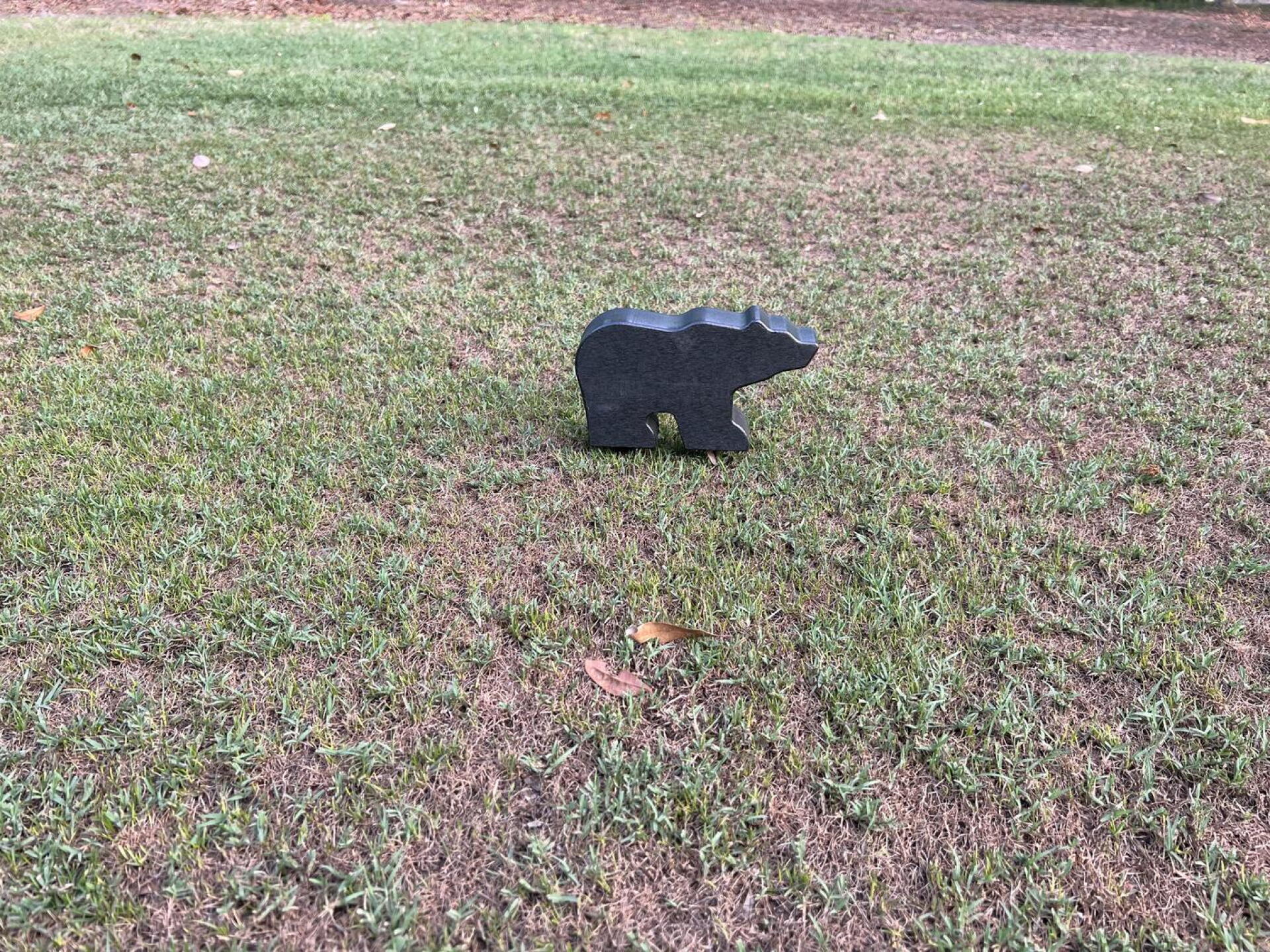 Watch out for the bear!! (Photo submitted by Joekub999 on 06/07/2022)