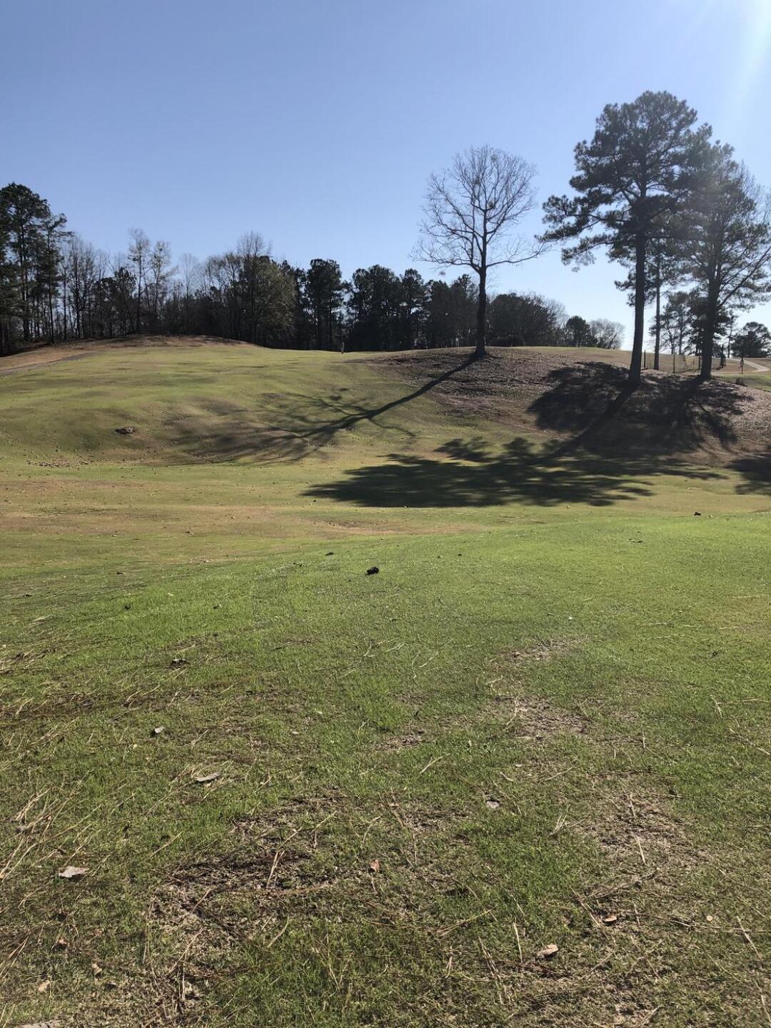 (Photo submitted by Nagafford on 12/18/2022)