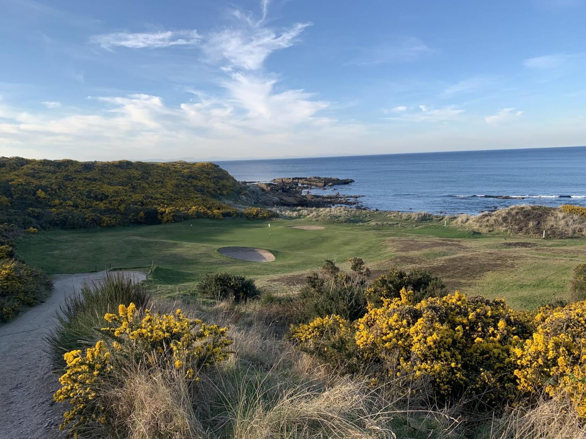 (Photo submitted by cg2hxdMRsED9q9MjXG0y on 04/02/2025)