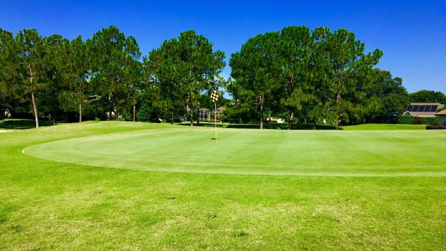 CC of Mount Dora: #14