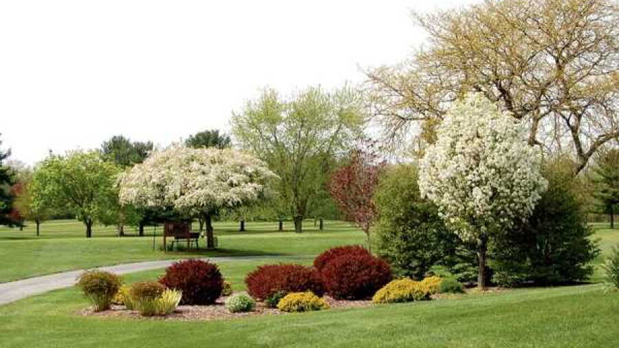 Maplecrest CC