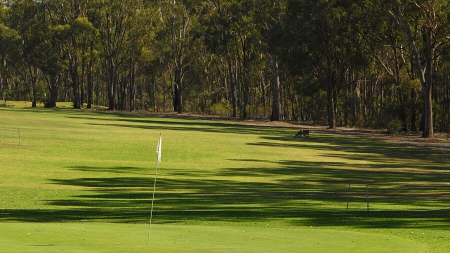Seymour GC